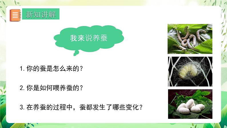 人教版生物八下 7.1.2《 昆虫的生殖和发育》 课件第8页