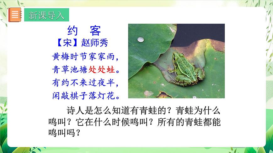 人教版生物八下 7.1.3 《兩棲動物的生殖和發(fā)育》 課件第5頁