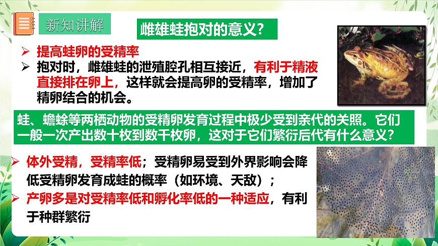 人教版生物八下 7.1.3 《兩棲動物的生殖和發(fā)育》 課件第7頁