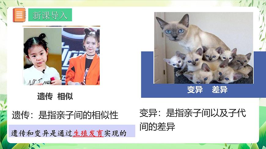 人教版八年級生物下7.2.1《 基因控制生物的性狀》 課件第3頁