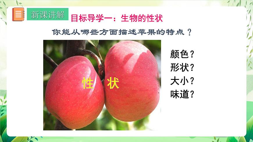 人教版八年級生物下7.2.1《 基因控制生物的性狀》 課件第5頁
