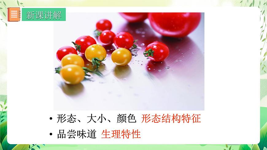 人教版八年級生物下7.2.1《 基因控制生物的性狀》 課件第6頁