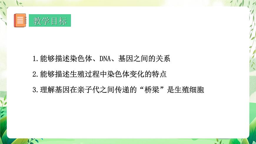 人教版生物 八下 7.2.2 《基因在親子代間的傳遞》 課件第2頁