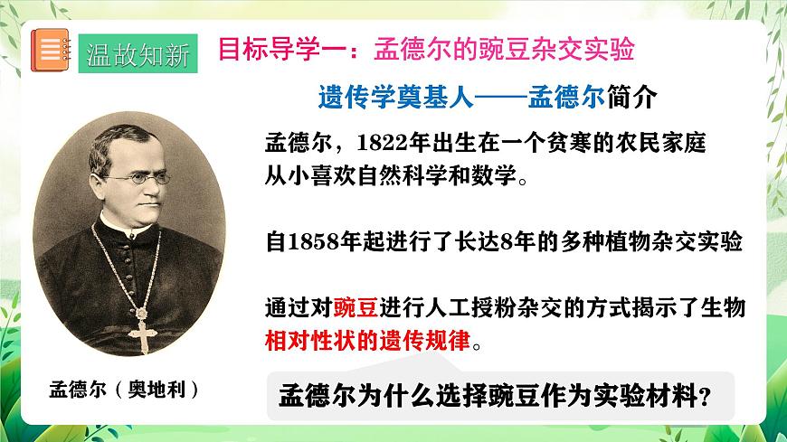 人教版生物八下7.2.3《 基因的顯性和隱性》 課件 第5頁
