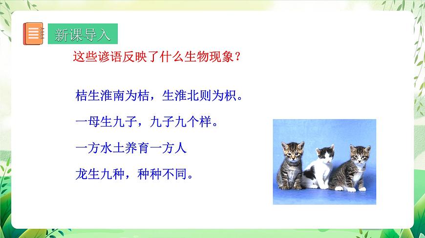 人教版生物 八下 7.2.5 《生物的變異》 課件第3頁