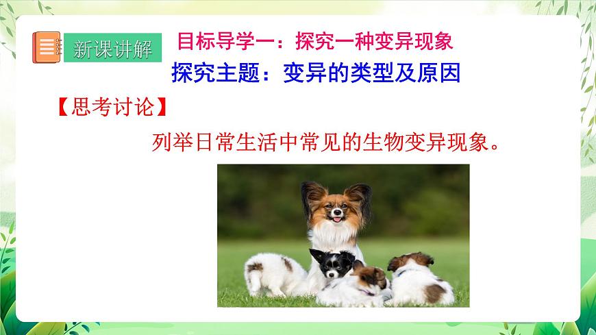 人教版生物 八下 7.2.5 《生物的變異》 課件第4頁