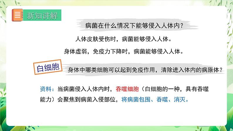 人教版八下生物 第二节 8.1.2《免疫与计划免疫 》课件第7页