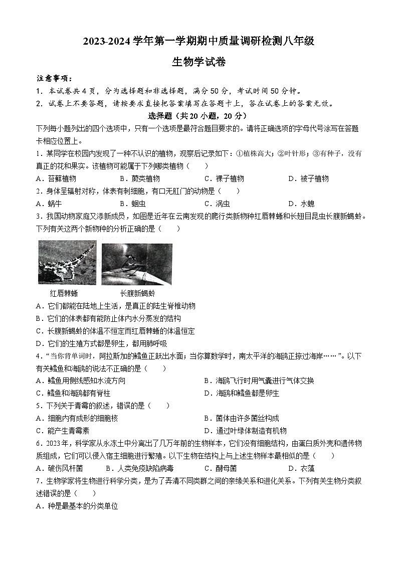河南省洛阳市伊川县2023-2024学年八年级上学期期中生物学试题第1页