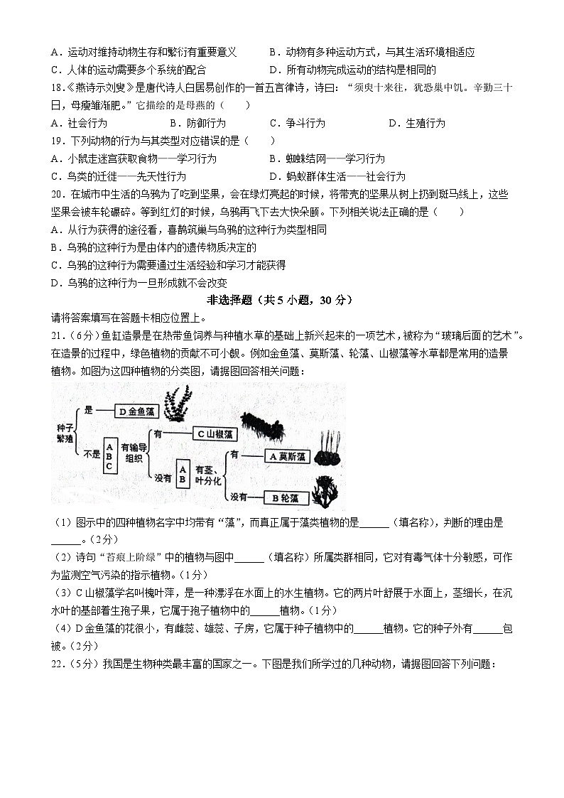河南省洛阳市伊川县2023-2024学年八年级上学期期中生物学试题第3页