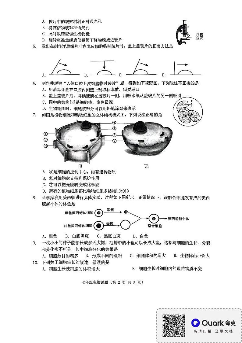 山东省临沂市平邑县2024-2025学年七年级上学期11月期中生物试题02