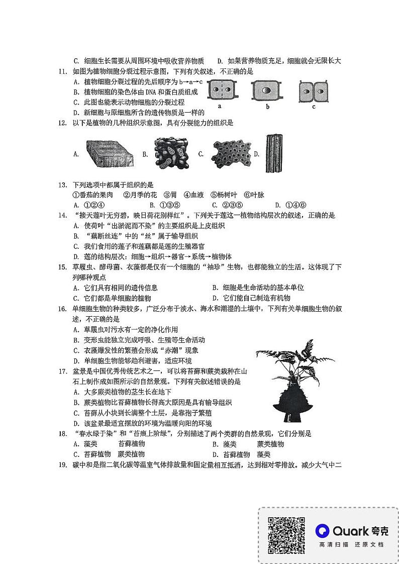 山东省临沂市平邑县2024-2025学年七年级上学期11月期中生物试题03