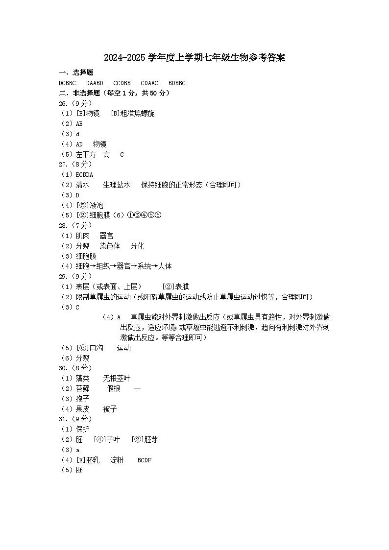 山东省临沂市平邑县2024-2025学年七年级上学期11月期中生物试题01