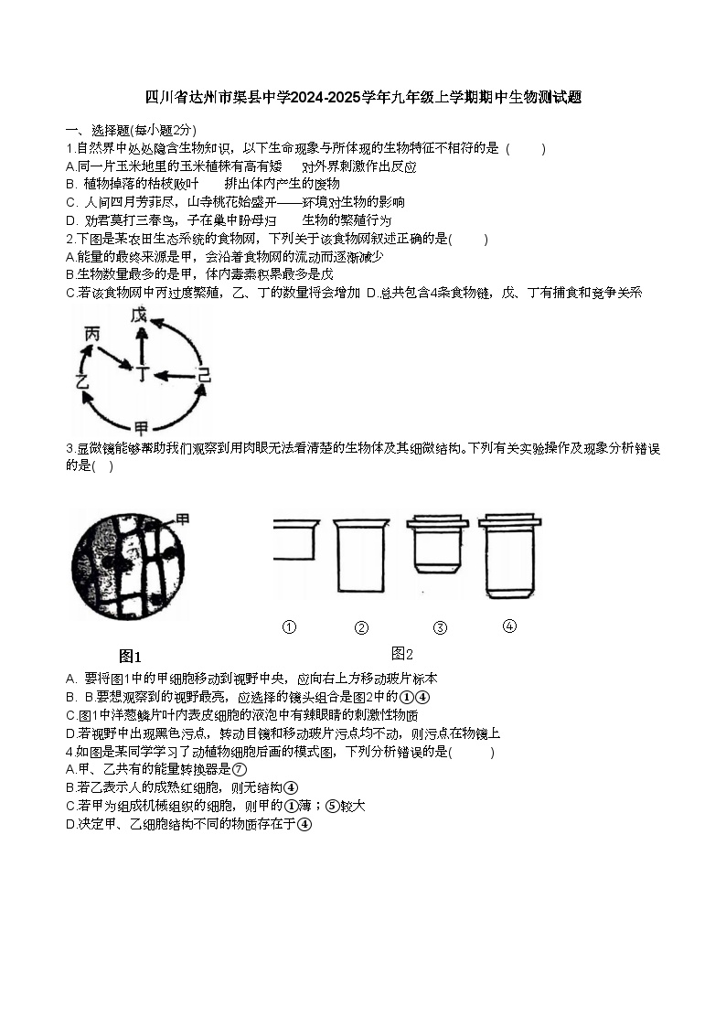 四川省渠县中学2024-2025学年九年级上学期11月期中生物试题