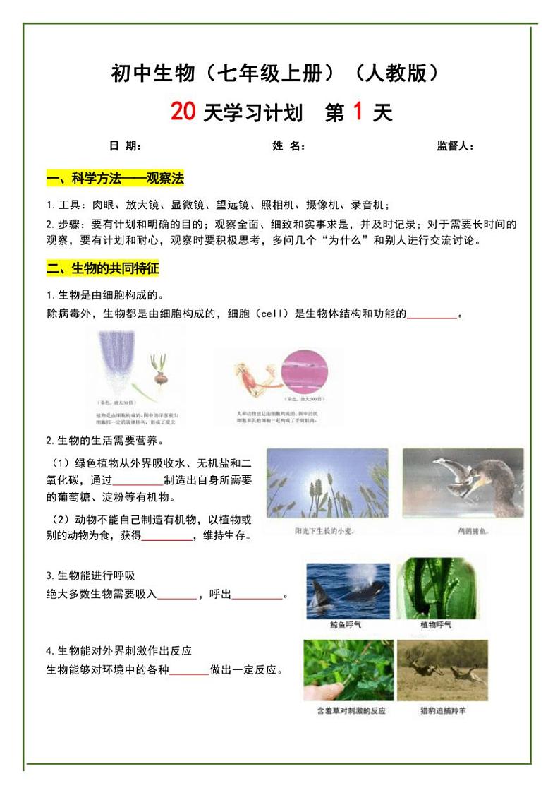 2024~2025学年人教版生物七年级上册知识点(文字素材)第1页