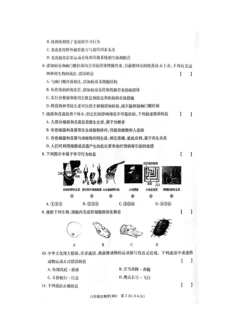 生物八年级上学期期中质量检测第2页