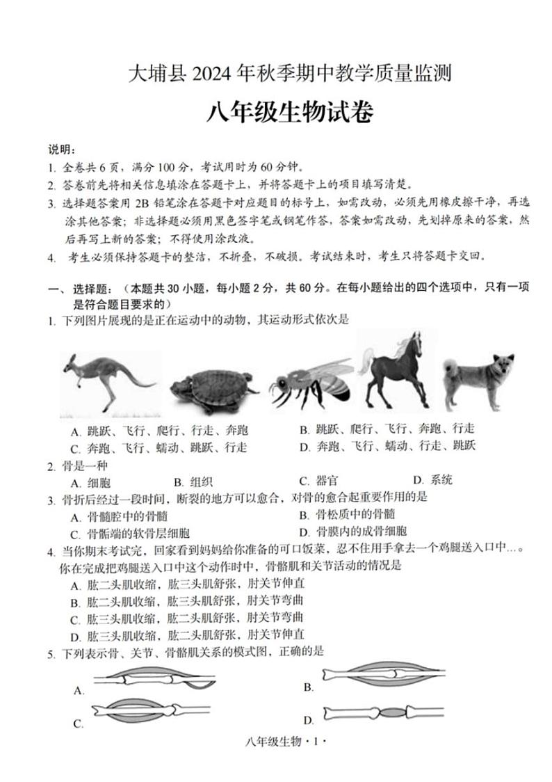 广东省梅州市大埔县2024-2025学年八年级上学期11月期中生物试题第1页