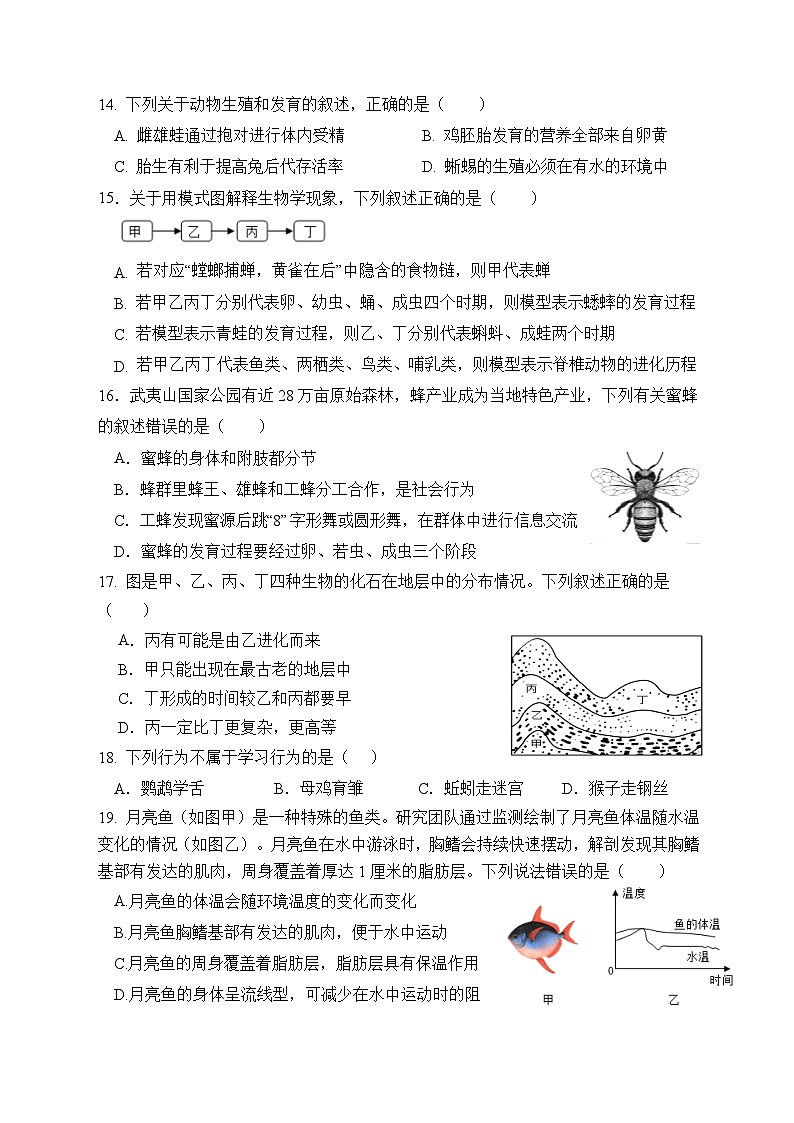 福建省廈門市湖濱中學2024-2025學年八年級上學期期中考試生物試題第3頁