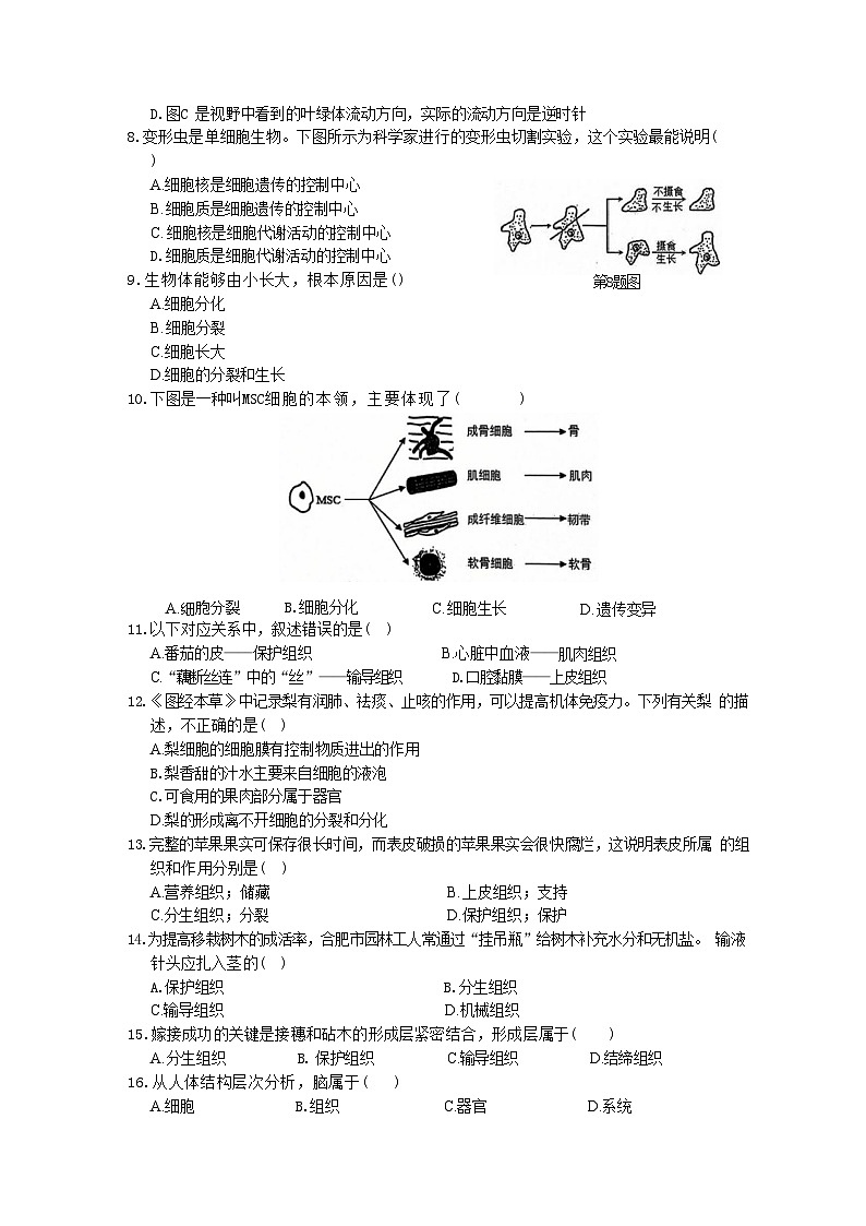 安徽省淮北市第一中学2024-2025学年七年级上学期11月期中考试生物试题(文字版)第2页