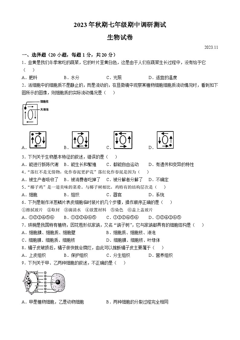 河南省南阳市镇平县2023-2024学年七年级上学期期中生物学试题01