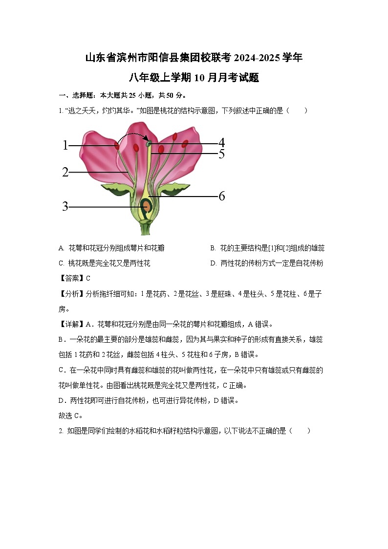 2024-2025学年山东省滨州市阳信县集团校联考八年级(上)10月月考生物试卷(解析版)第1页
