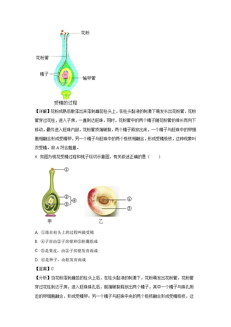 2024-2025学年山东省滨州市阳信县集团校联考八年级(上)10月月考生物试卷(解析版)第3页