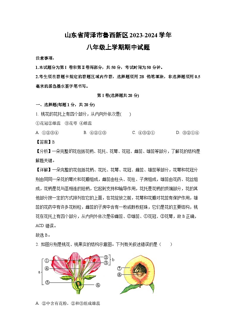 2023-2024学年山东省菏泽市鲁西新区八年级(上)期中生物试卷(解析版)第1页
