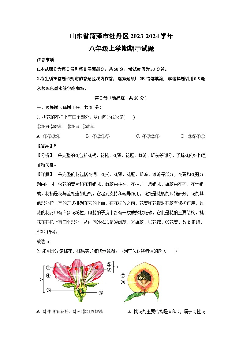 2023-2024学年山东省菏泽市牡丹区八年级(上)期中生物试卷(解析版)第1页