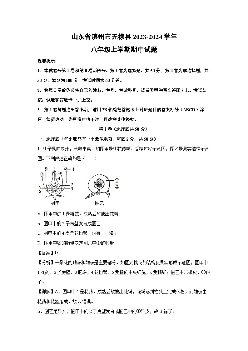 2023-2024学年山东省滨州市无棣县八年级(上)期中生物试卷(解析版)第1页