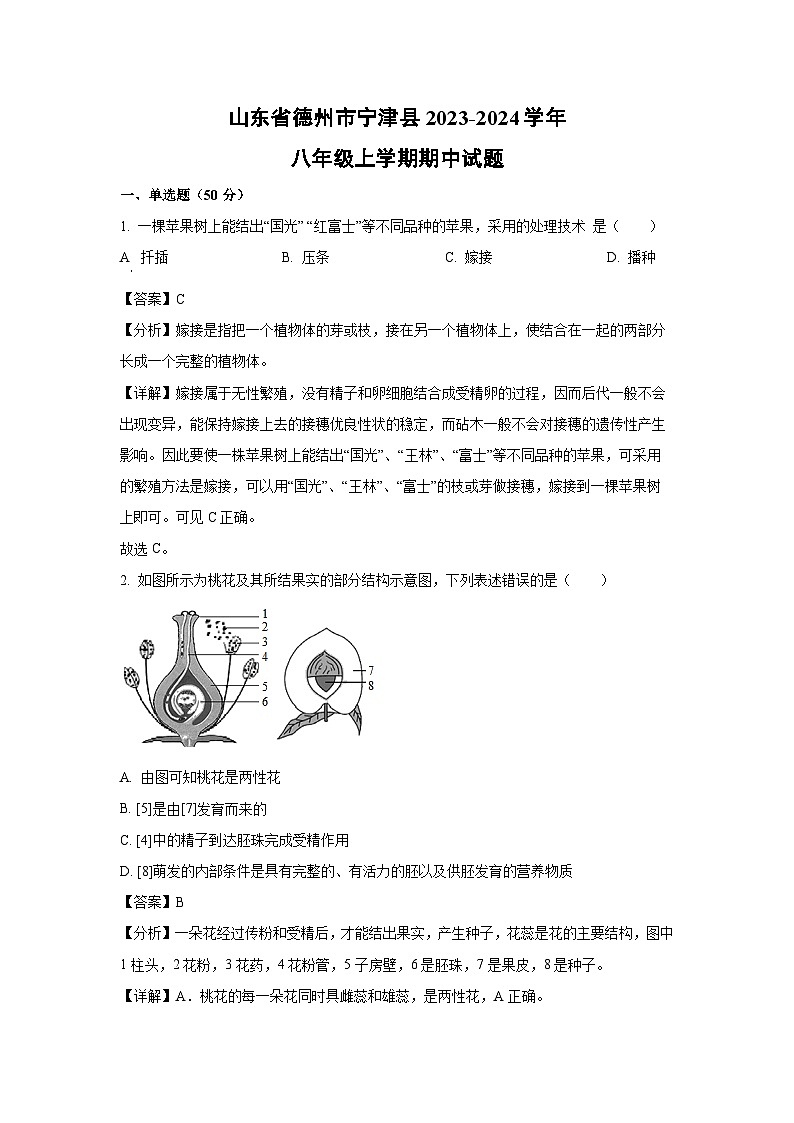 2023-2024学年山东省德州市宁津县八年级(上)期中生物试卷(解析版)第1页