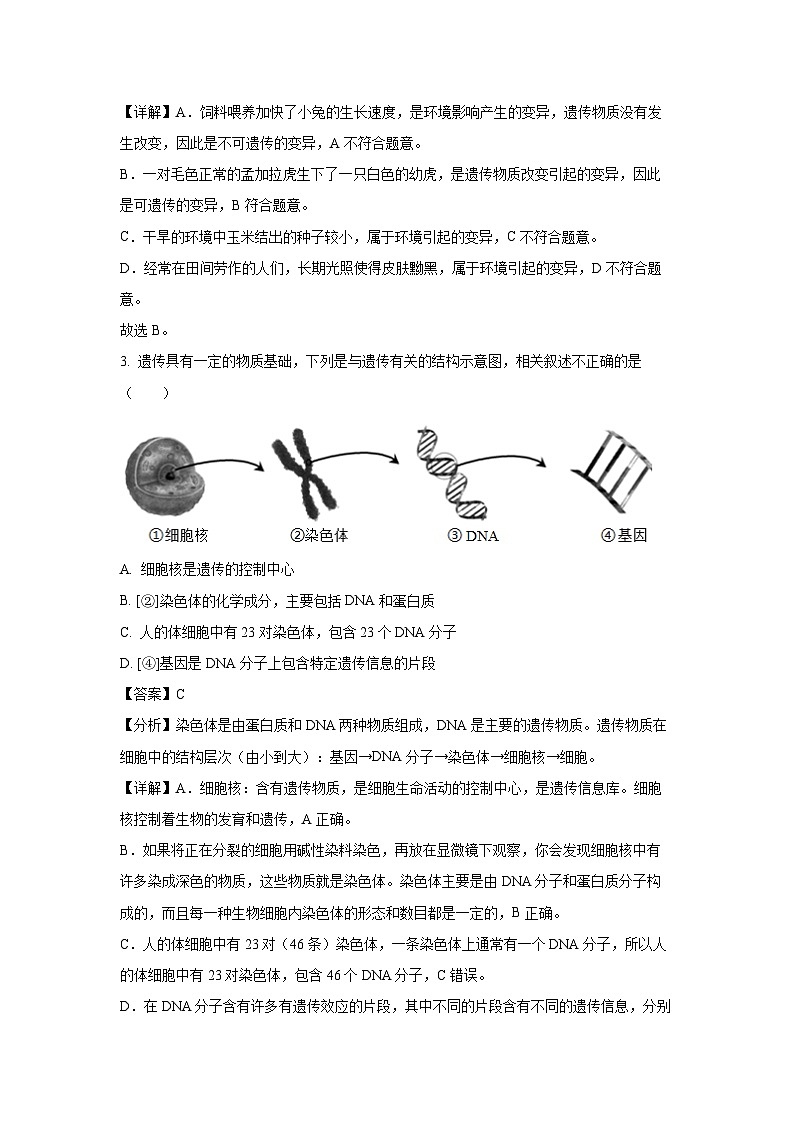 2023-2024学年山东省德州市平原县三校联考八年级(上)期中生物试卷(解析版)第2页