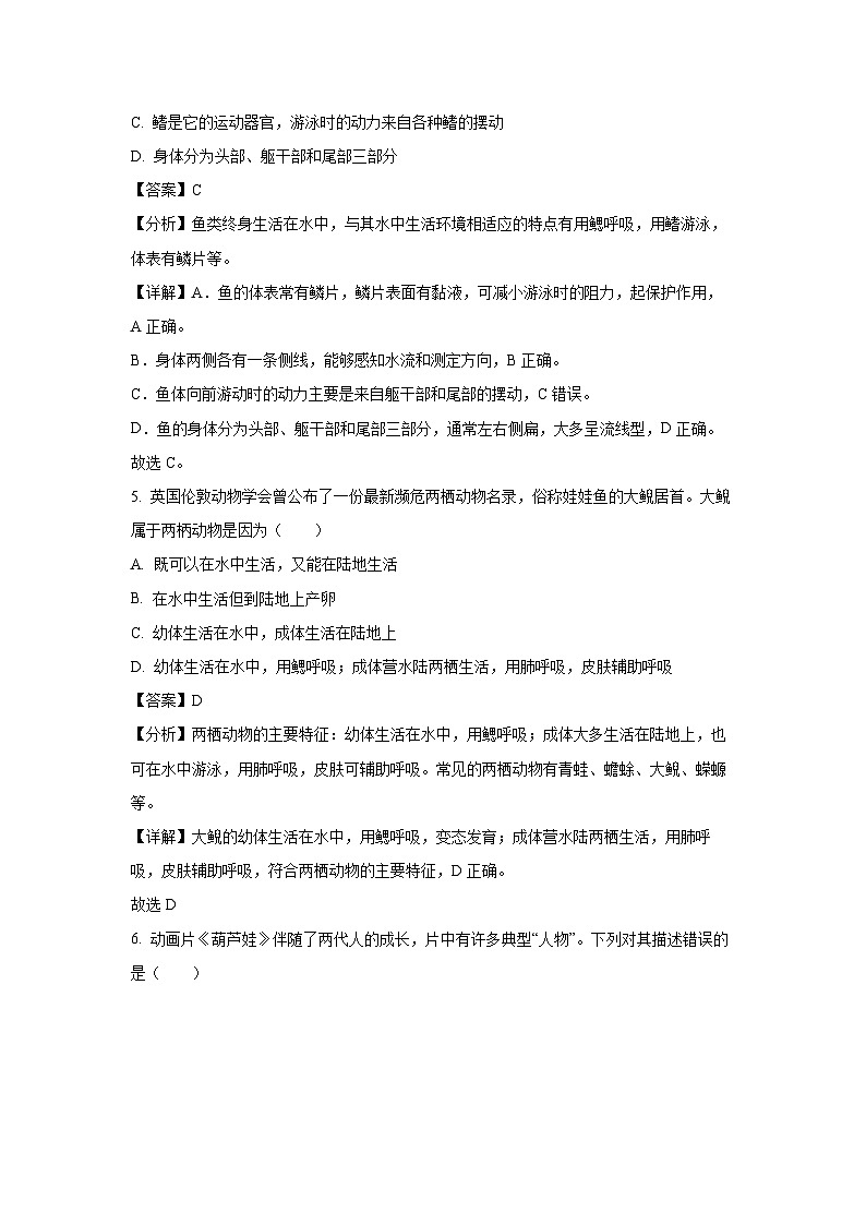 2023-2024学年山东省东营市河口区五校联盟八年级(上)期中生物试卷(解析版)第3页