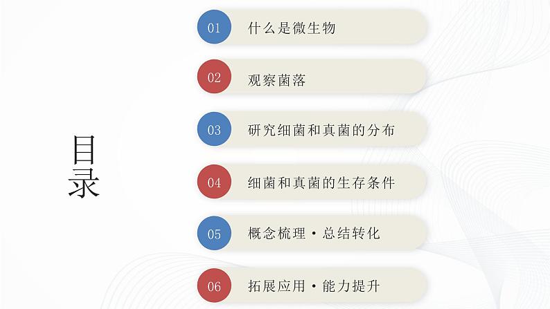 2.3.1 微生物的分布-初中生物七年级上册 同步教学课件(人教版2024)第2页