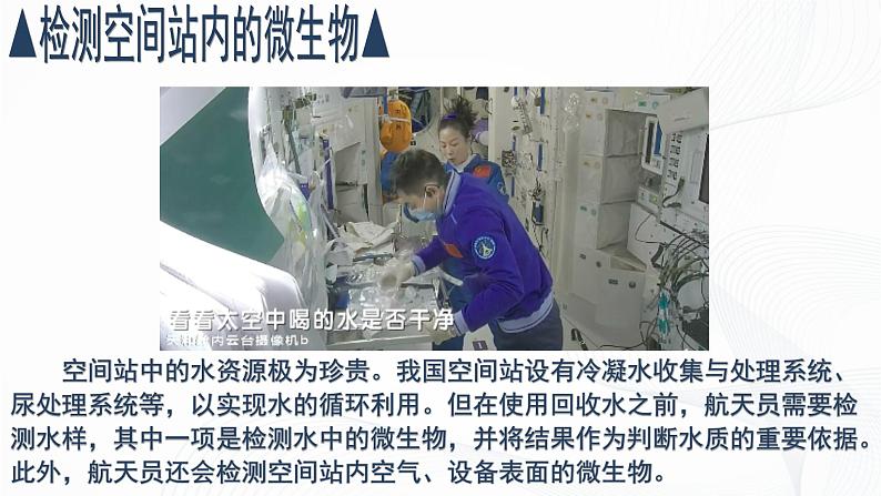 2.3.1 微生物的分布-初中生物七年级上册 同步教学课件(人教版2024)第3页