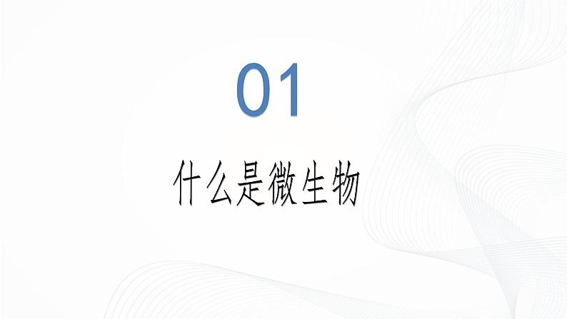 2.3.1 微生物的分布-初中生物七年级上册 同步教学课件(人教版2024)第6页