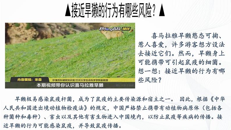 2.3.2 细菌-初中生物七年级上册 同步教学课件(人教版2024)第3页