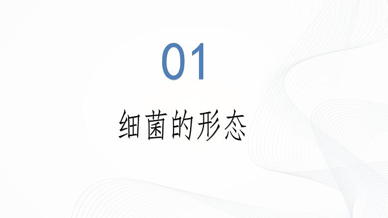 2.3.2 细菌-初中生物七年级上册 同步教学课件(人教版2024)第5页