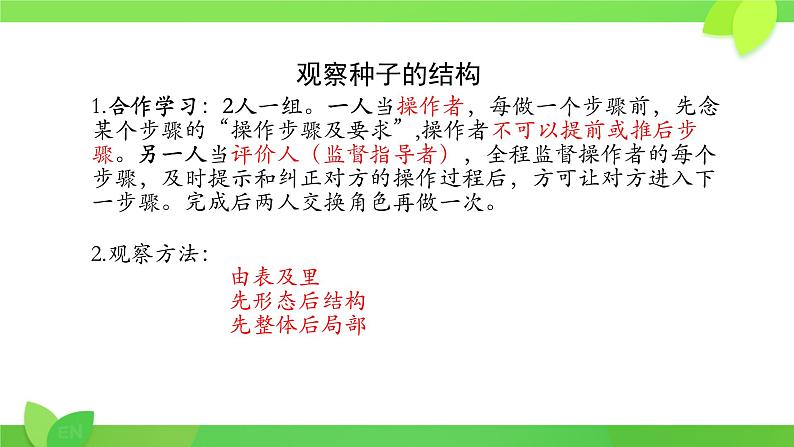 初中 生物 人教版(2024) 七年级上册 第二单元 第一章 植物的类群 第二节 种子植物 课件第3页