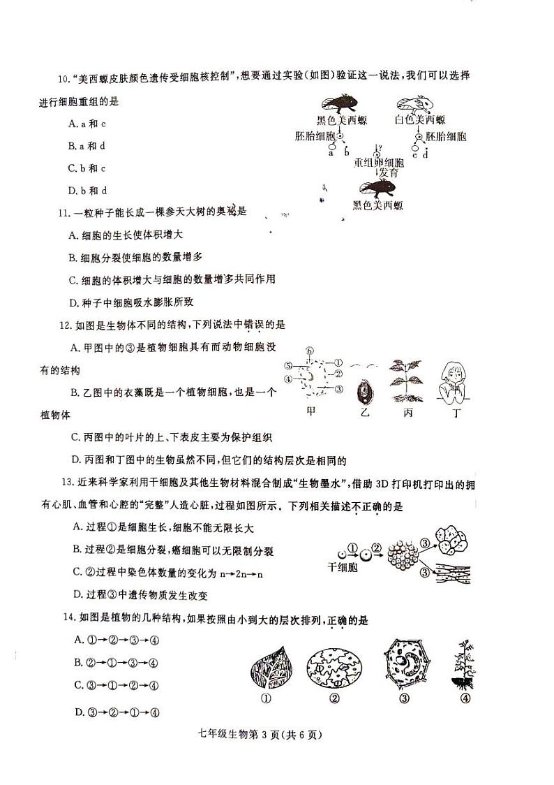 河南省漯河市舞阳县2024-2025学年七年级上学期期中考试生物试卷03