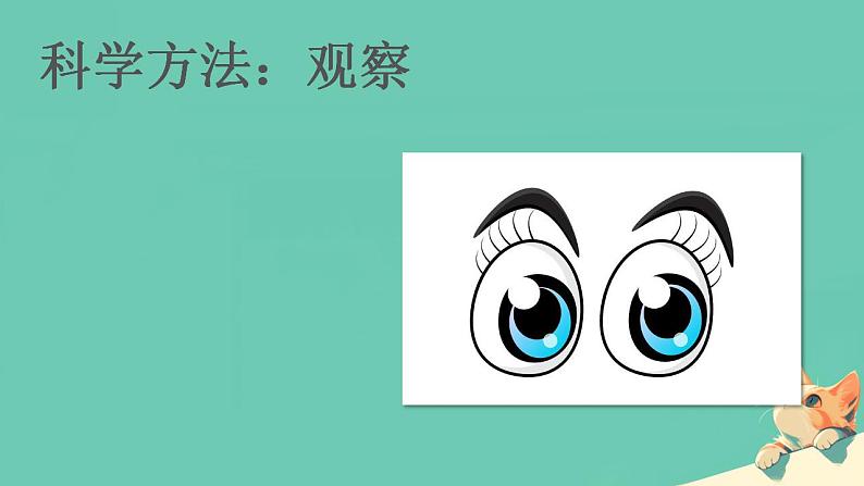 初中 生物 人教版(2024) 七年级上册 第一单元 第一章第一节 观察周边环境中的生物 课件第4页