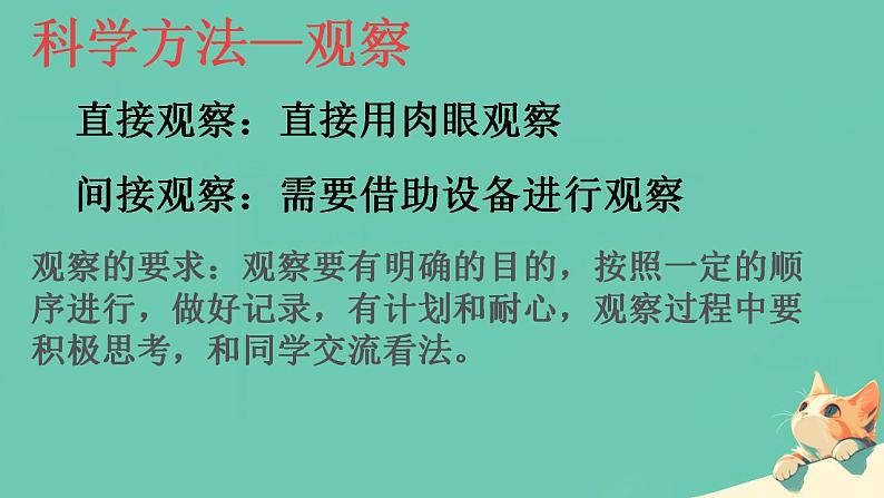 初中 生物 人教版(2024) 七年级上册 第一单元 第一章第一节 观察周边环境中的生物 课件第6页