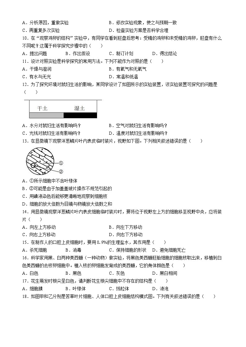 安徽省宿州市第十一中学2024-2025学年七年级上学期期中生物学试题第2页