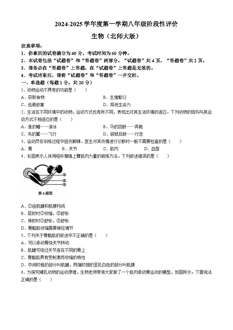 安徽省淮北市淮北市第一中學2024-2025學年八年級上學期期中生物學試題第1頁