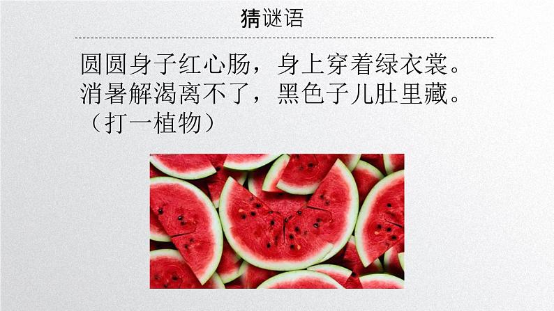 初中 生物 人教版(2024) 七年级上册 第一单元 第一章第一节 观察周边环境中的生物 课件第4页
