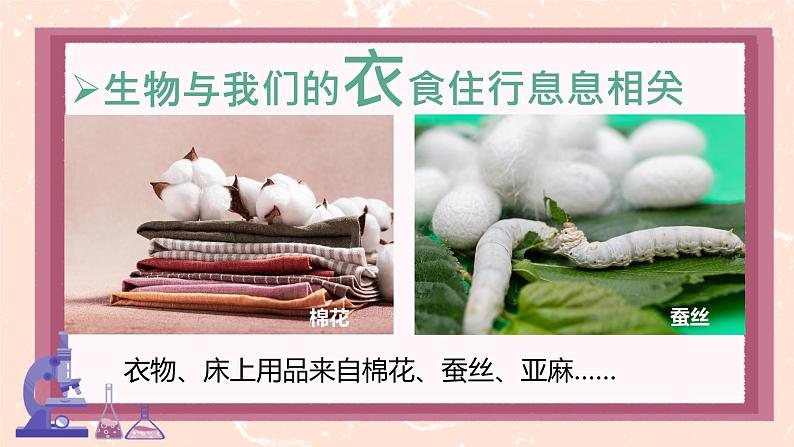 初中 生物 人教版(2024) 七年级上册 第一单元 第一章第一节 观察周边环境中的生物 课件第5页
