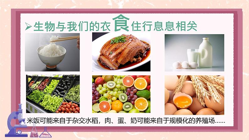 初中 生物 人教版(2024) 七年级上册 第一单元 第一章第一节 观察周边环境中的生物 课件第6页