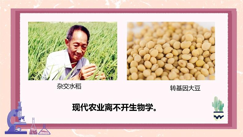 初中 生物 人教版(2024) 七年级上册 第一单元 第一章第一节 观察周边环境中的生物 课件第7页