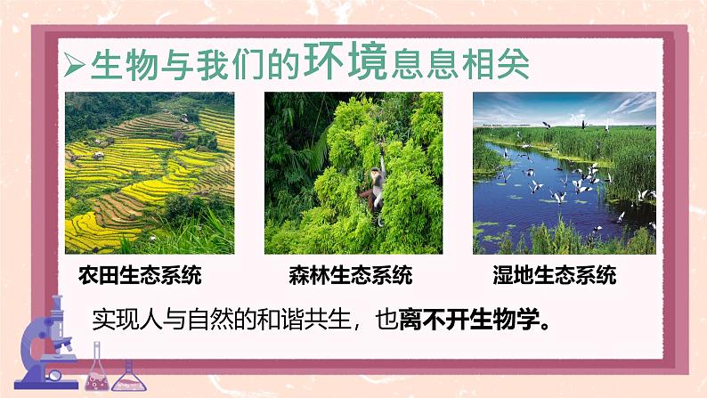 初中 生物 人教版(2024) 七年级上册 第一单元 第一章第一节 观察周边环境中的生物 课件第8页