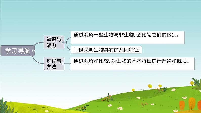 初中 生物 人教版(2024) 七年级上册 第一单元 第一章 第二节 生物的特征 课件第3页