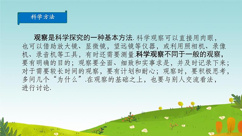 初中 生物 人教版(2024) 七年级上册 第一单元 第一章 第二节 生物的特征 课件第4页