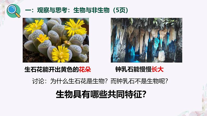 初中 生物 人教版(2024) 七年级上册 第一单元 第一章 第二节 生物的特征 课件第4页